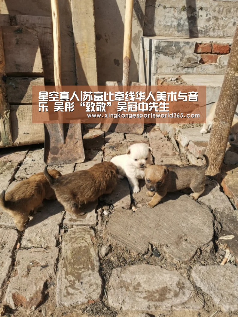 星空娱乐