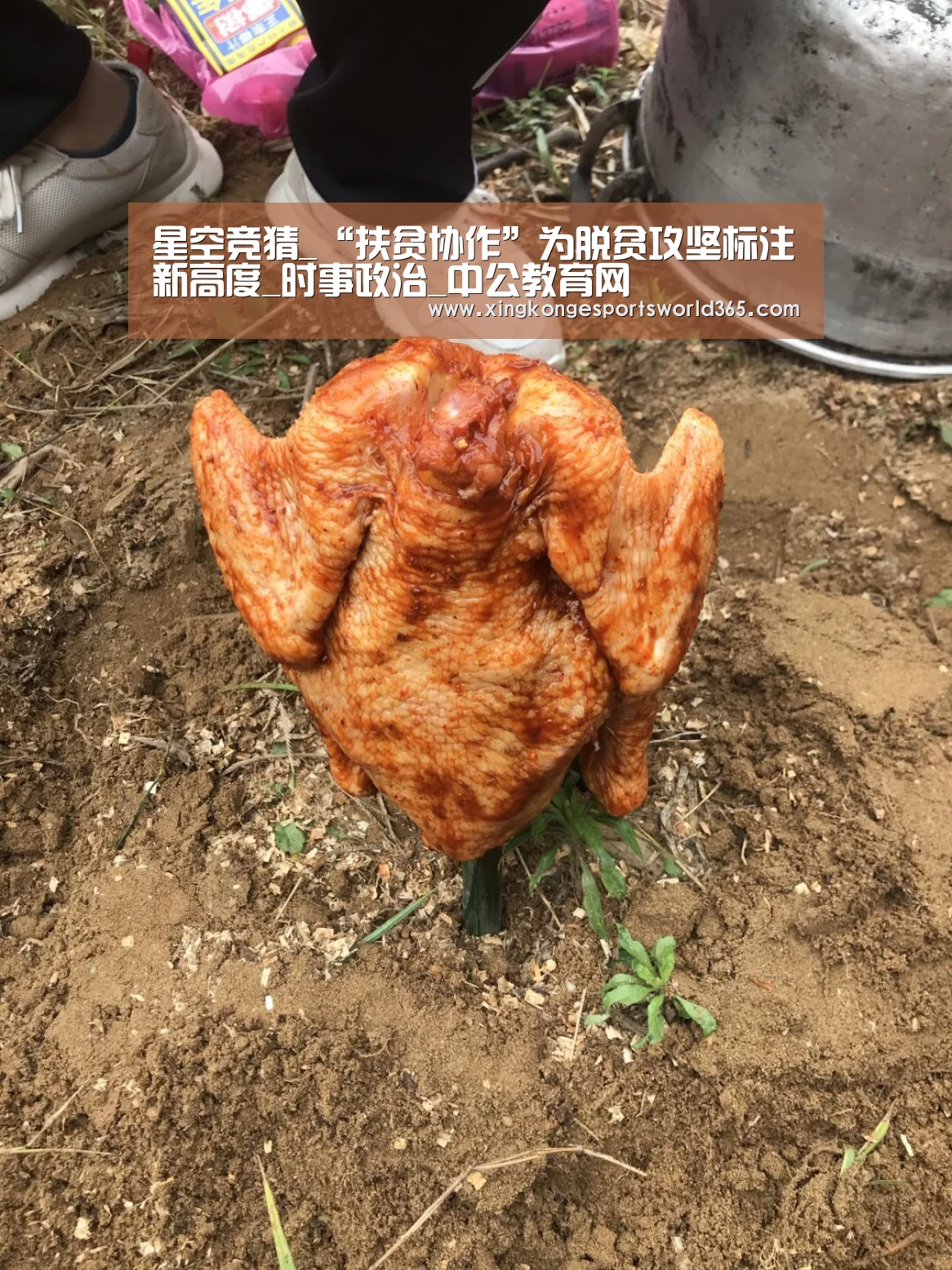 星空竞猜_“扶贫协作”为脱贫攻坚标注新高度_时事政治_中公教育网(图4) 星空官网