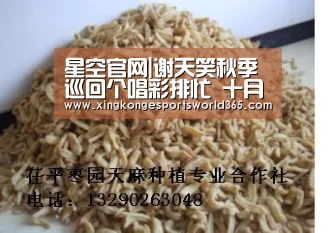 星空官网|谢天笑秋季巡回个唱彩排忙 十月重磅出击唱响津渝汉宁(图2) 星空真人