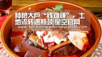 种粮大户“钱难赚”,土地流转遇瓶颈|星空官网(图1) 星空竞猜