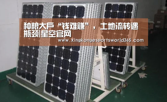 种粮大户“钱难赚”,土地流转遇瓶颈|星空官网(图3) 星空真人